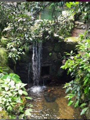 Turismo de isolamento na pandemia na Fazenda de Palmas